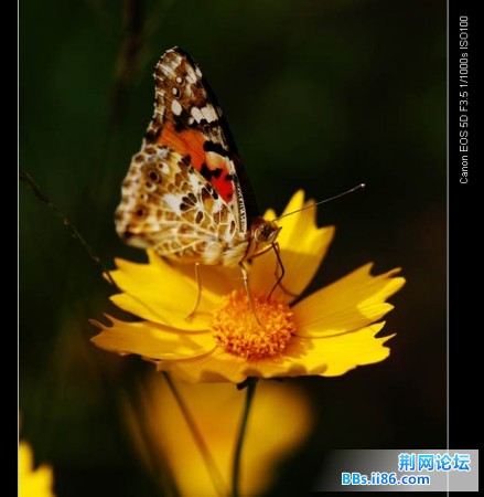 userid153095time20070716132924.jpg