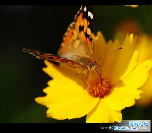 userid153095time20070716132951.jpg