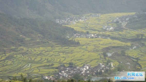 DSC00970.JPG