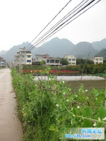 IMG_0572.jpg