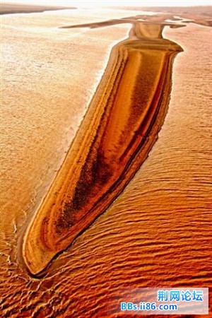 293406_1176941259.jpg