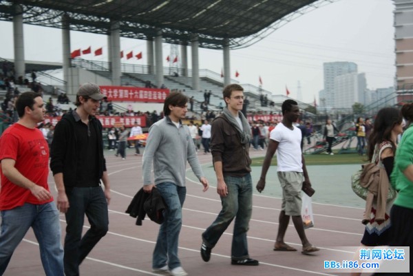 20090408_913744c85830bc692194bgvYW0Dm1h9p.jpg.thumb.jpg