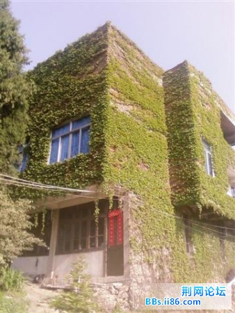 SP_A0574.jpg