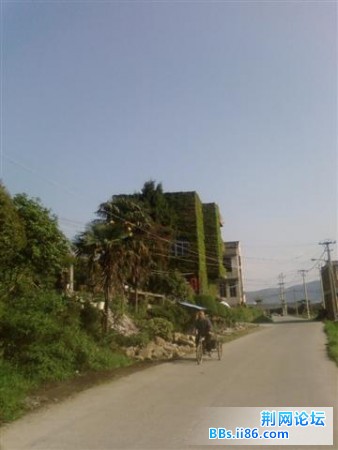 SP_A0573.jpg