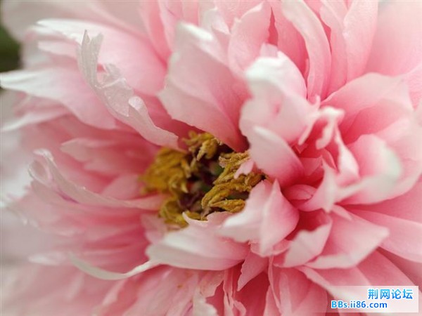 20090413_1b135e1f11ab41ebfac0Y0NzZA5RFrVe.jpg