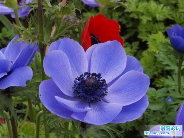 20090414_57e712da1d7087aa34d1zeqk1pN3IQTS.jpg