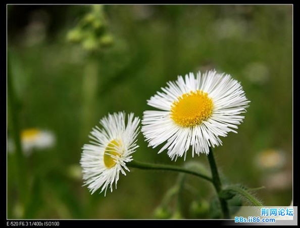 20090414_32444f4fae5ed1296c90mmlFXa7UaooC.jpg