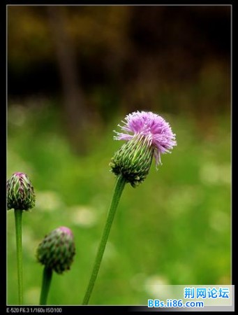 20090414_a25611a5ef0641862facpX9azeRw6vDF.jpg