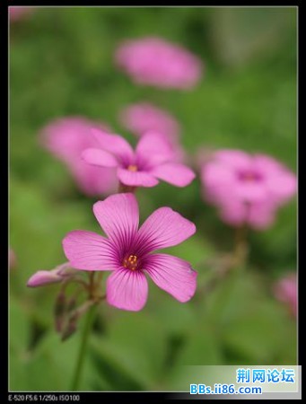 20090414_75c7b6fa947264e4c1ffa5lqeLHFc61D.jpg