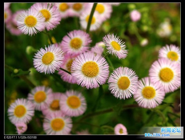 20090414_7096139c1f1a3801a644UB07X48NKOXT.jpg