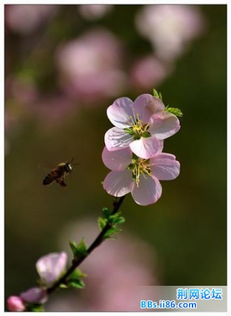 20090407_0e8bd8fca6543a0a2cb3rjBoQLjfB2NF.jpg