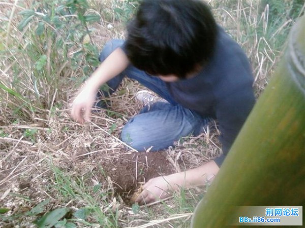 SP_A0510.jpg