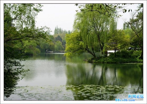 20090413_e2d41208c7b2d9704f7eT95KjI8COmxe.jpg