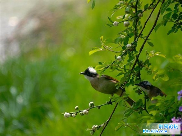 20090408_984a71b458081f232206IovlSFqSYQmm.jpg