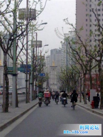 20090416460 (中等).jpg