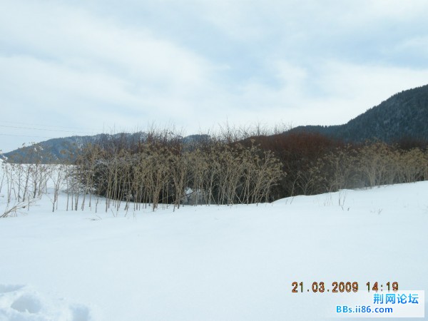 红山 207.jpg