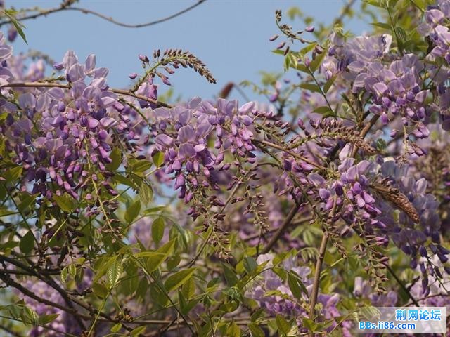 20090421_f2184da2d1a6000e6916iluY8e1mPJk9.jpg