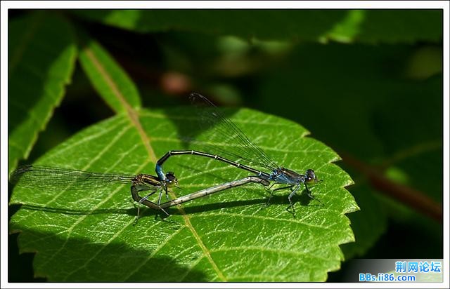 20090422_b913057bdeee650a2494FnuMpXUQGOU1.jpg