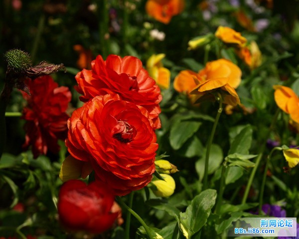 20090422_150f03913b57ed928f50lJhLybY7FMG9.jpg