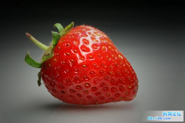 20090424_fbe0e12e00c56746a705or7Z9YS8FANi.jpg