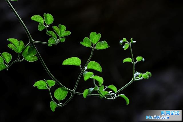 20090425_0613e7cdd5c479a9e4a1Z8zw3L7sj7qF.jpg