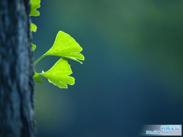 20090427_c032dac1193e495e3becZSOuchvbDGEd.jpg