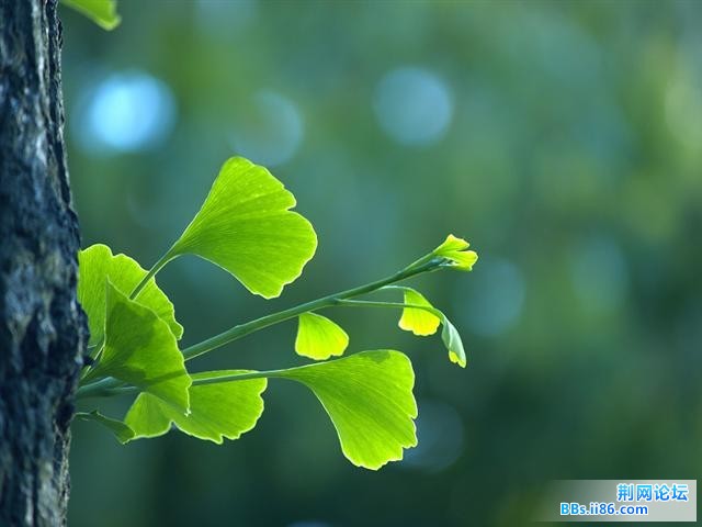 20090427_c2d8012ffe6e9f7f7b5eavxGmpymoPFP.jpg