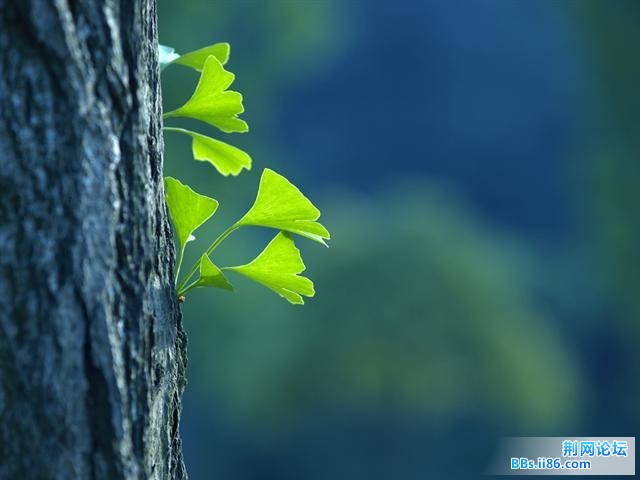 20090427_c10219af2f3b8d84e09cMOjPGZSZ32YA.jpg