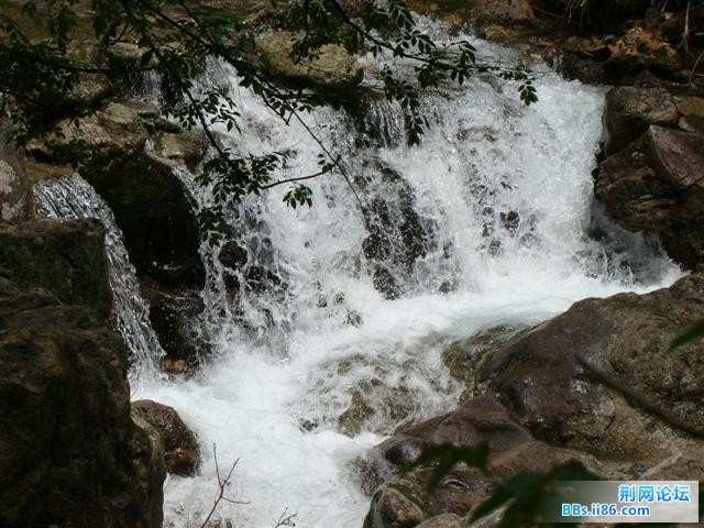 DSC04054.JPG
