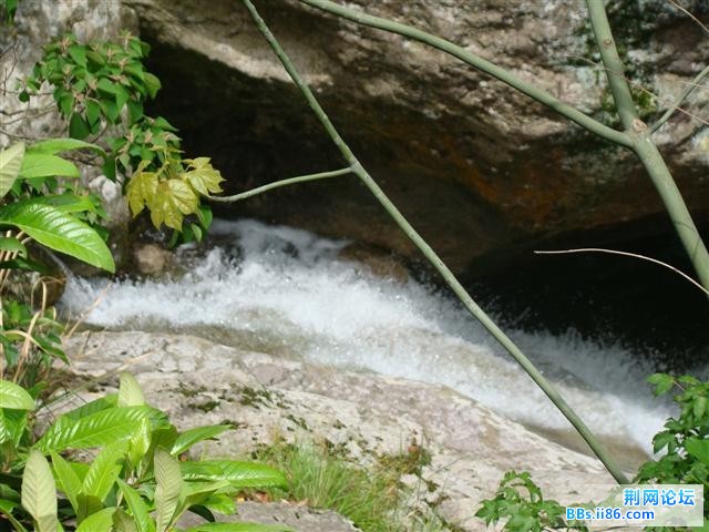 DSC04058.JPG