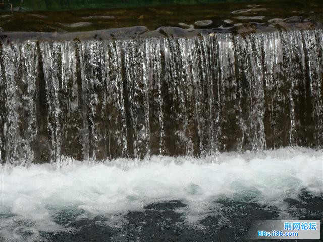 DSC04005.JPG