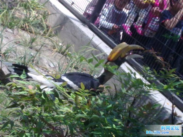 20090501527 (中等).jpg
