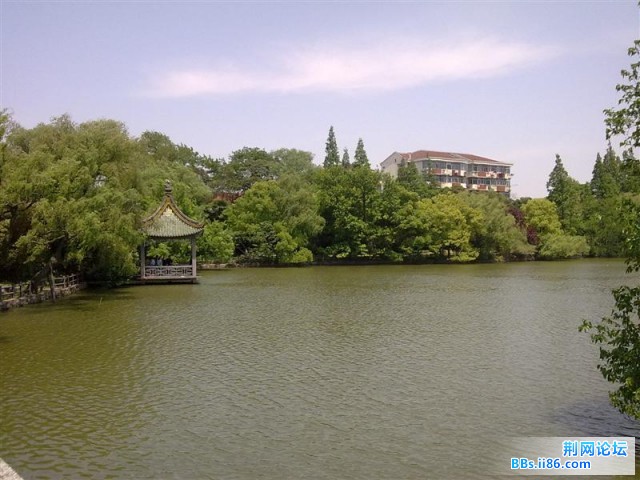 20090501497 (中等).jpg