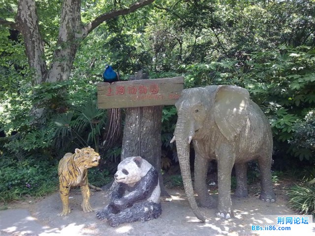 20090501475 (中等).jpg