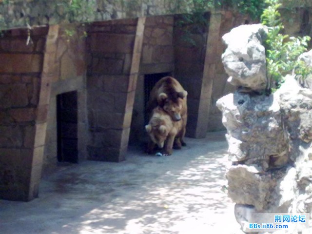 20090501535 (中等).jpg