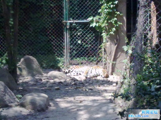 20090501573 (中等).jpg