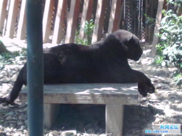 20090501571 (中等).jpg