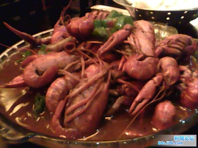 IMG0348A.jpg