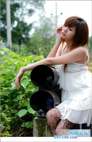 a233295_s.jpg