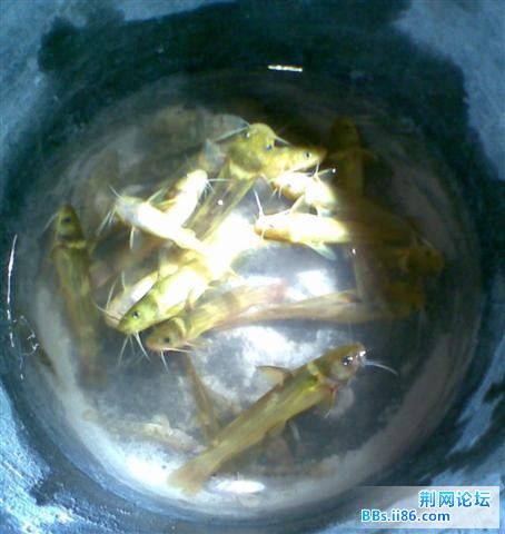 图像026.jpg