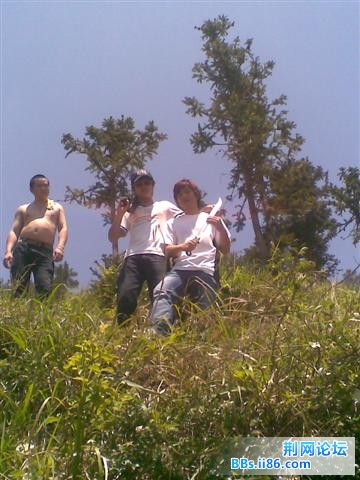 图像097.jpg