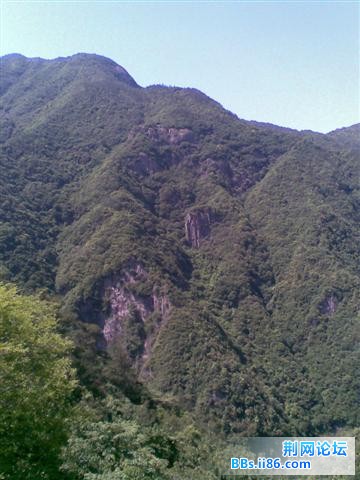 图像127.jpg