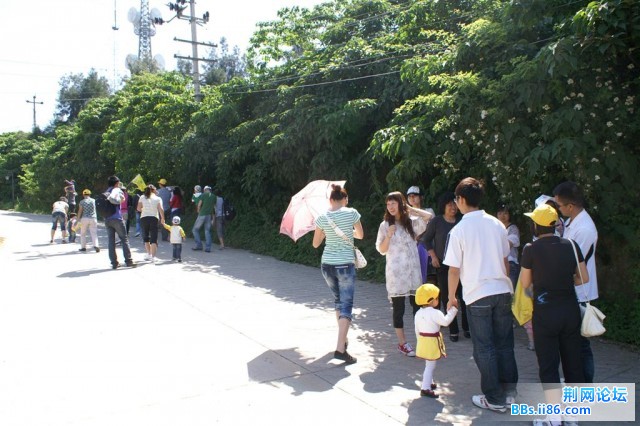 PICT0007.JPG