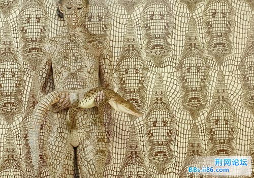 xin_4821105061125968406710鳄鱼的化身.jpg