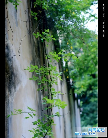 DSC_3315.jpg