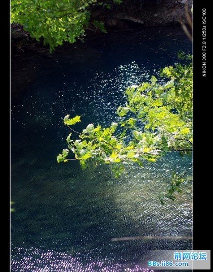 DSC_3293.jpg