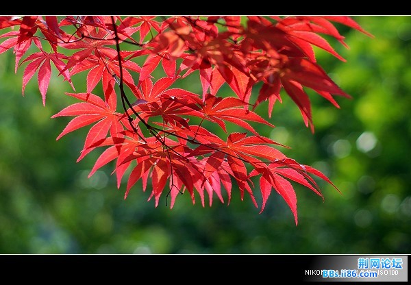 DSC_3276.jpg