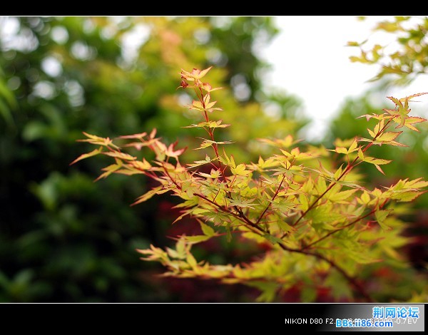 DSC_3613.jpg