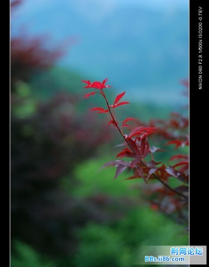 DSC_3610.jpg