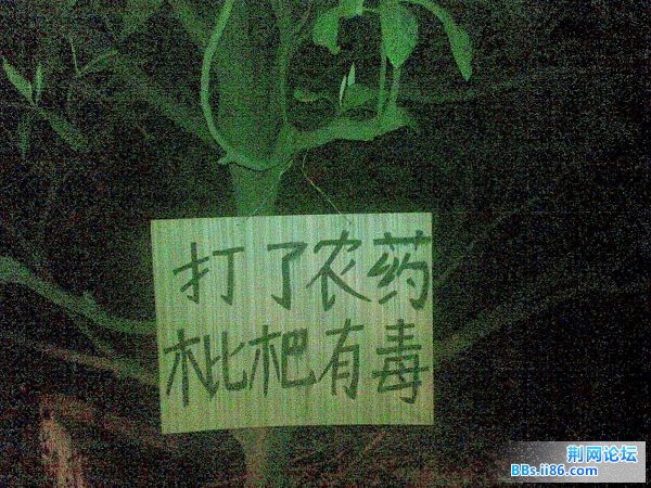 20090514229.jpg
